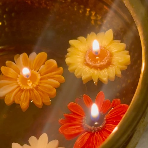Daisy Floating Candle